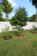 River Bridge - Residential