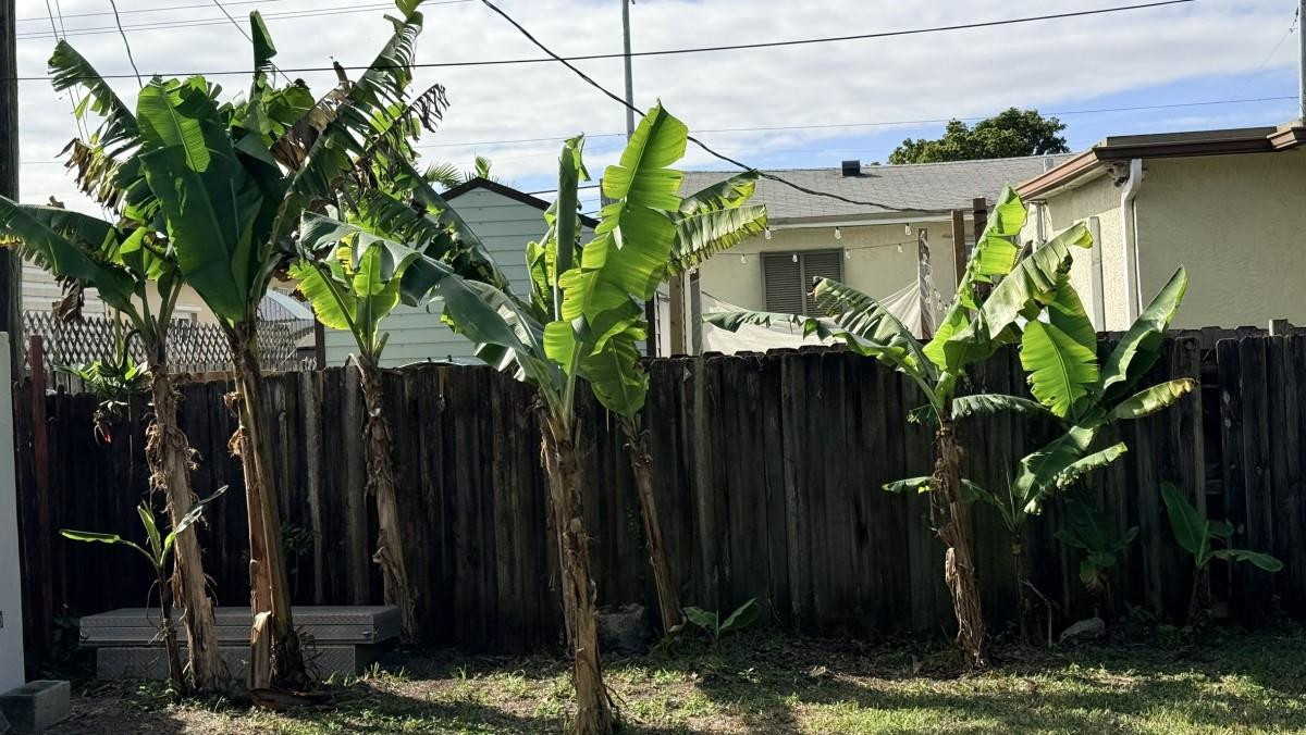 South Hollywood Amd 4-10 - Residential