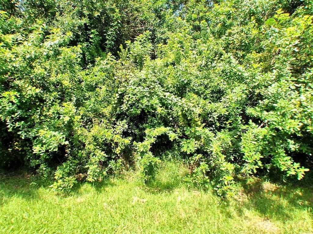 Photo of 2541 SE Jason Avenue, Port Saint Lucie, FL 34952 (MLS # R10698242)