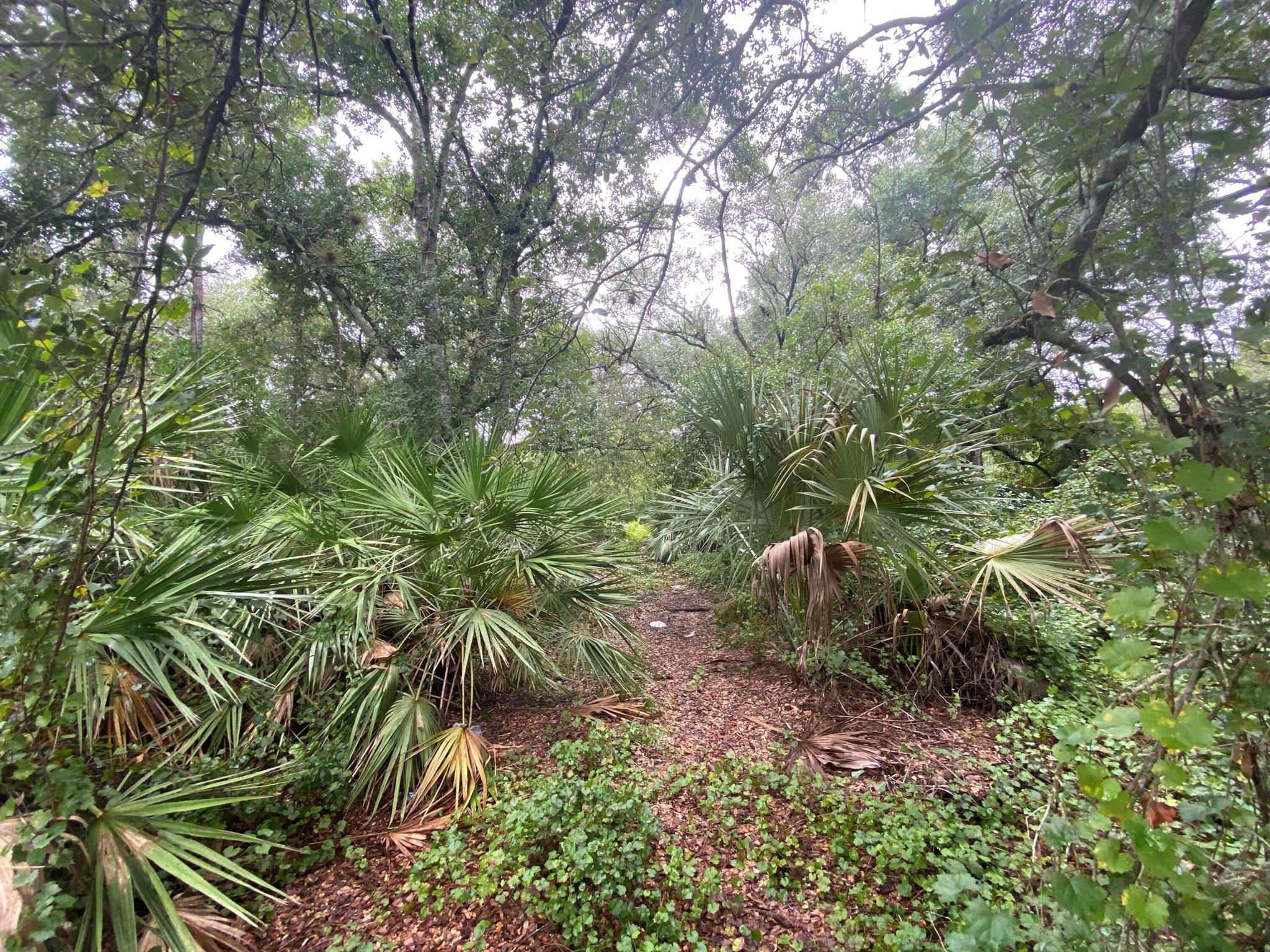 MONTURA RANCH ESTATES - Land