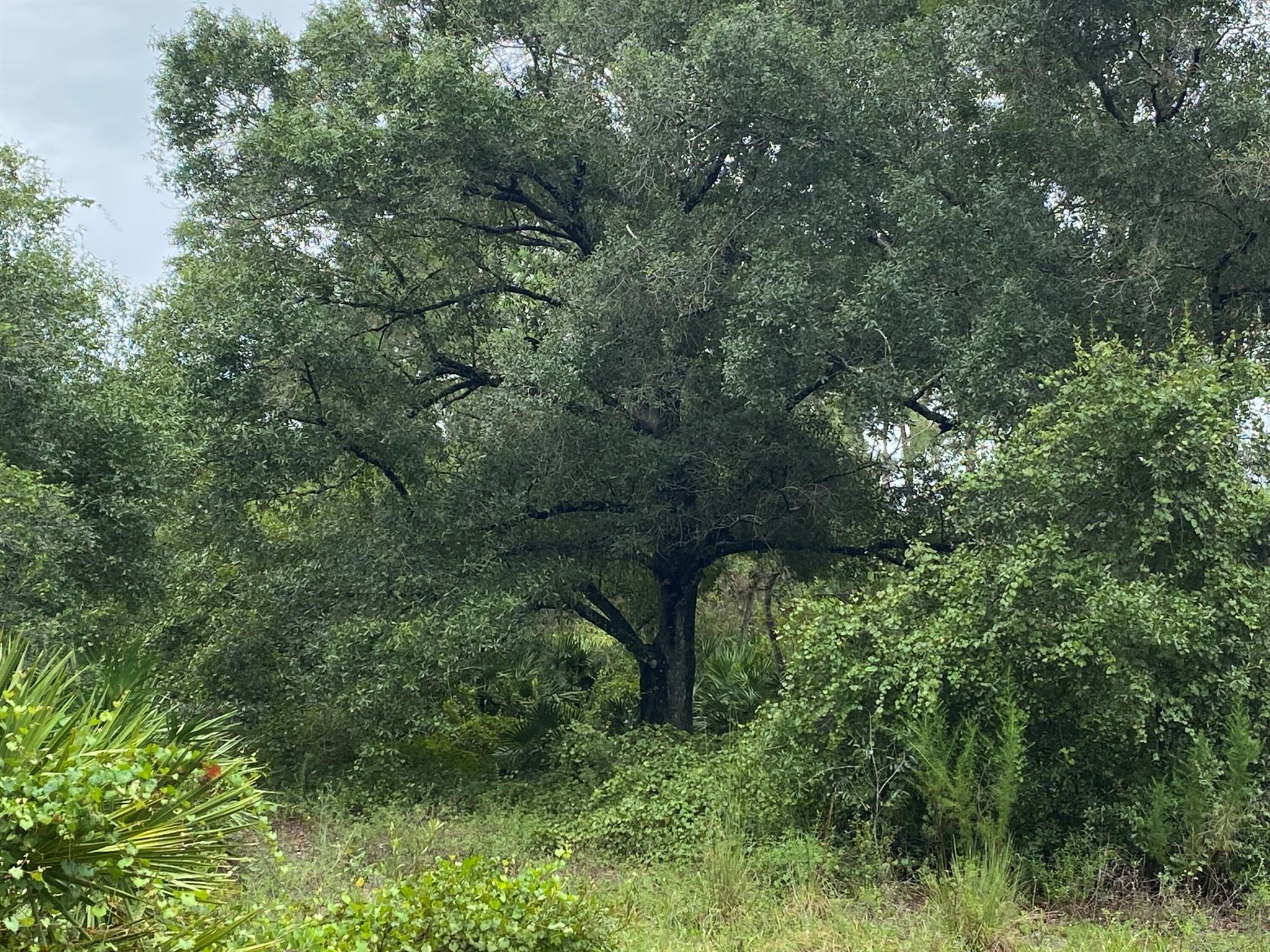 MONTURA RANCH ESTATES - Land