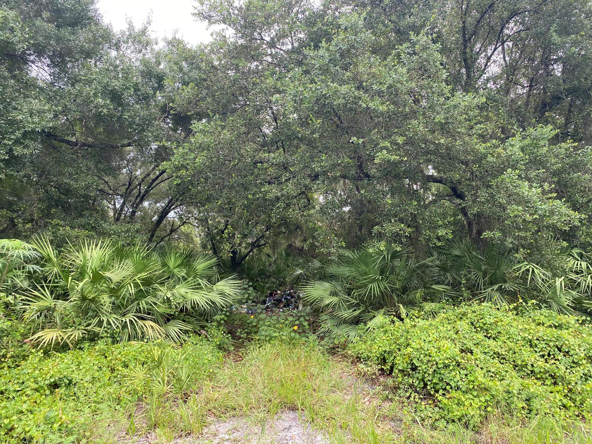 MONTURA RANCH ESTATES - Land