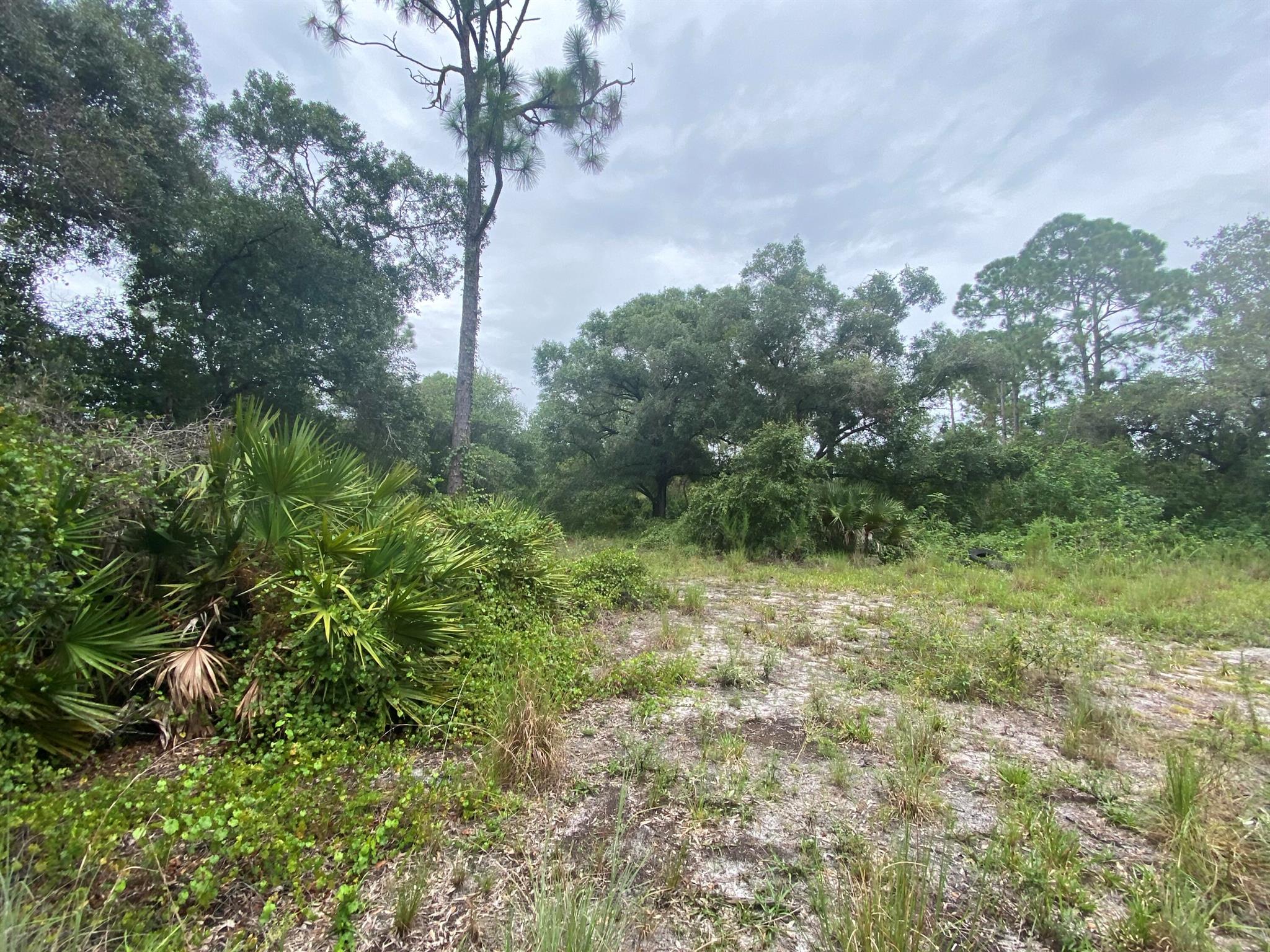 MONTURA RANCH ESTATES - Land