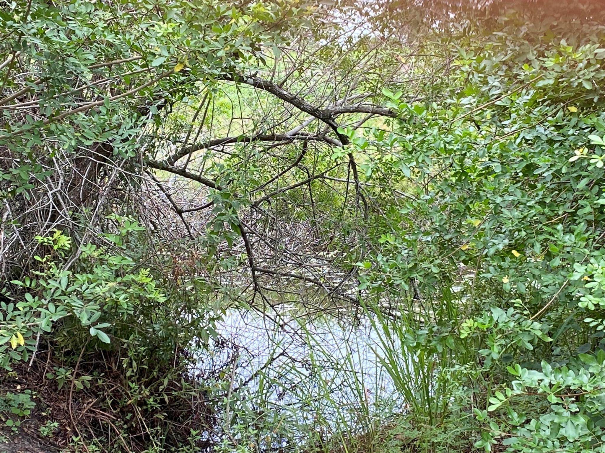 MONTURA RANCH ESTATES - Land