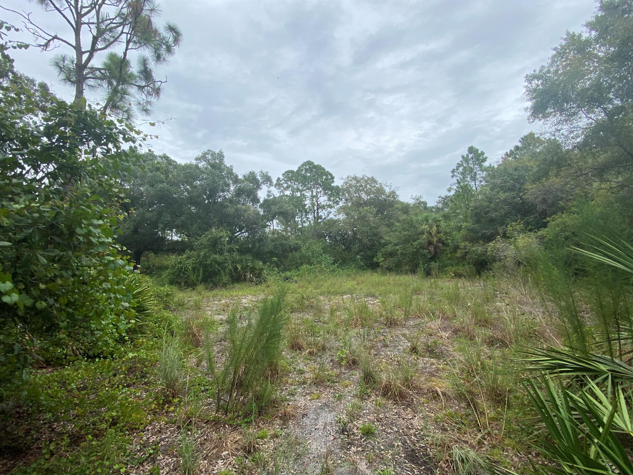 MONTURA RANCH ESTATES - Land