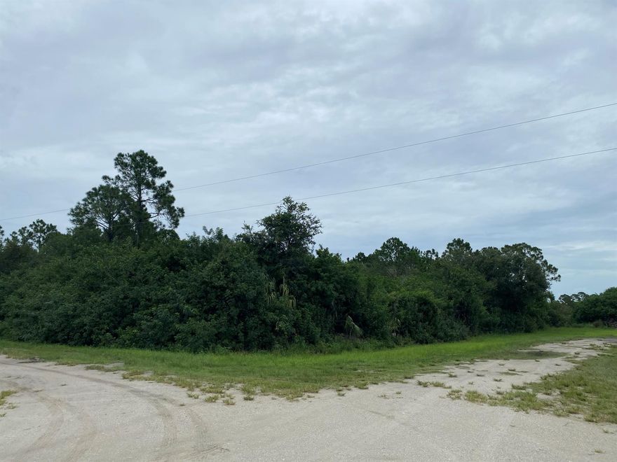 Build or bring your dream home and barn on this beautiful and private high and dry semi clear  2.50-acre canal corner lot in (NO IMPACT FEE) in this residential/farm & equestrian community of Montura Ranches, located just minutes West of Lake Okeechobee. There is easy access to US 27. .Montura Ranches is a great community with a Club House, community pool and children's play area in the peaceful City of Clewiston! Not in an HOA, so park your boat or RV outside your home and hear birds chirping, enjoy quiet country setting, yet shopping, restaurants, recreation activities nearby. Close to Lake Okeechobee Park which it's popular for its 400-foot fishing pier. Located a little over an hour from Miami, West Palm and Broward.