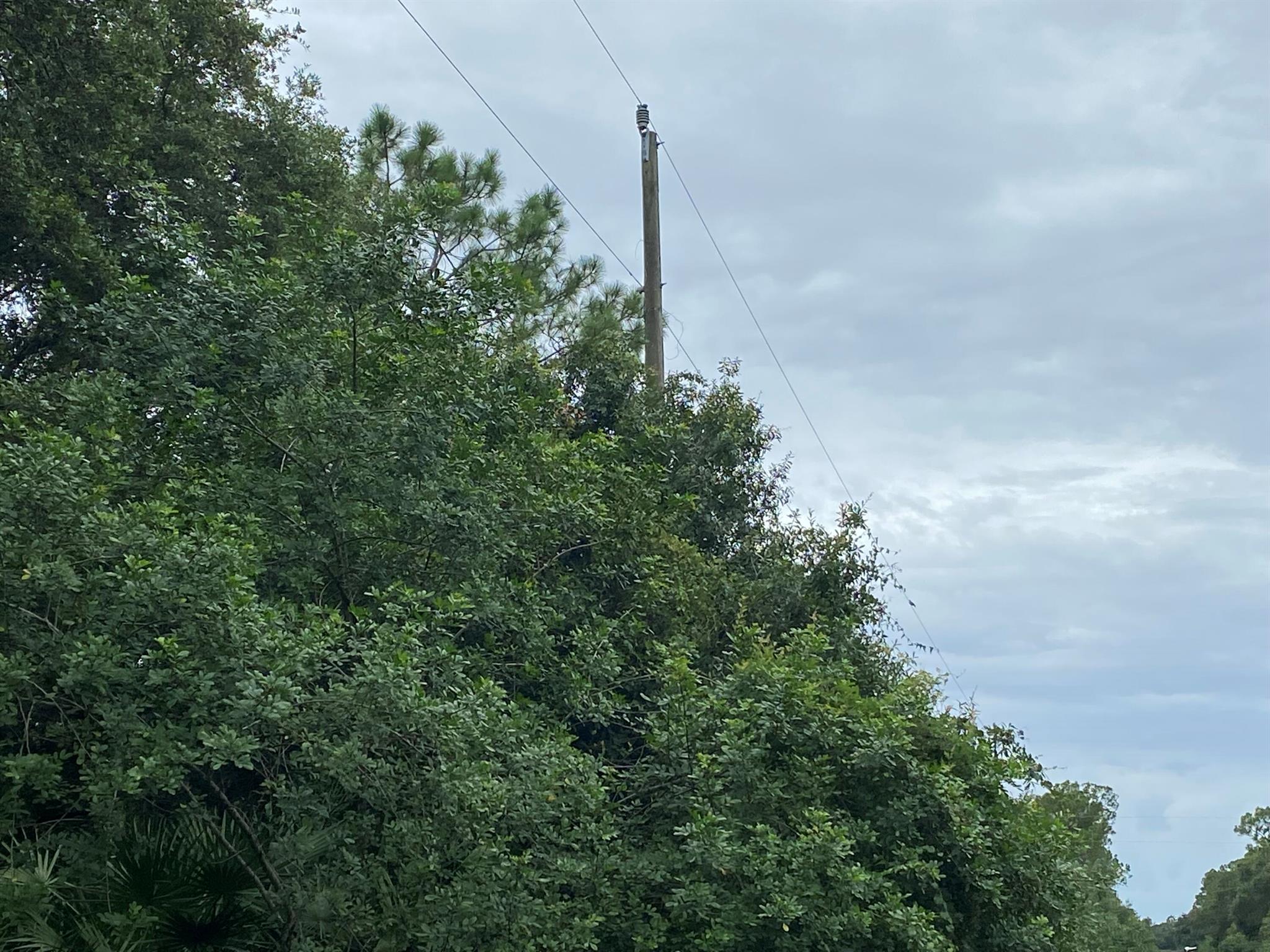 MONTURA RANCH ESTATES - Land