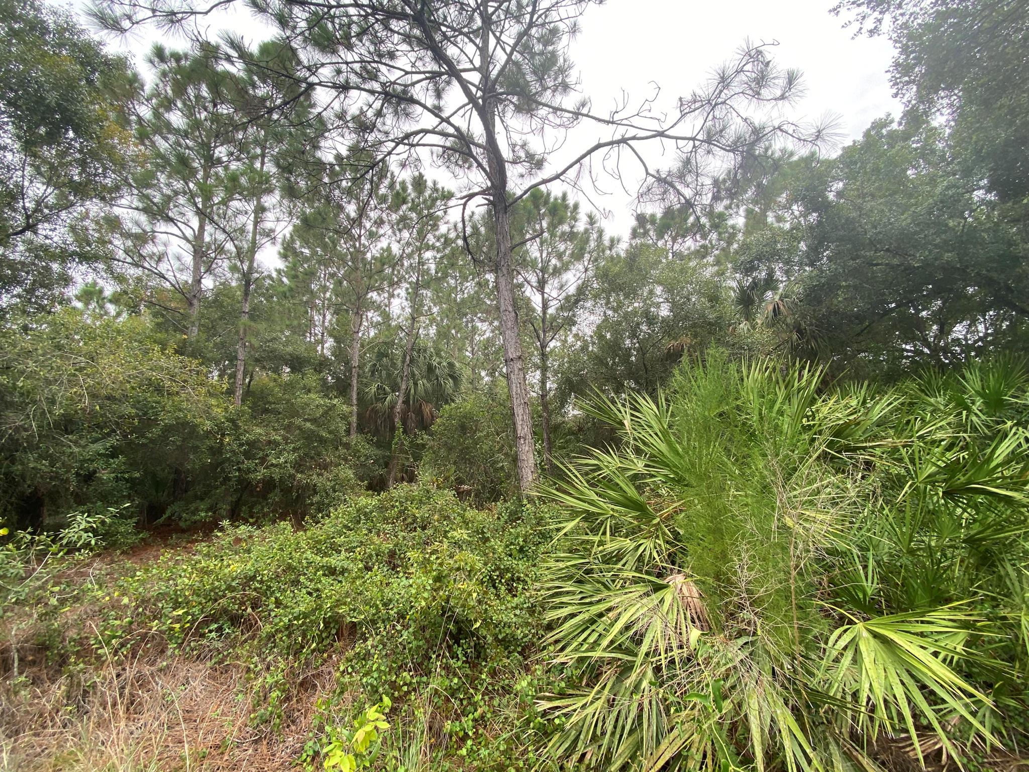 MONTURA RANCH ESTATES - Land