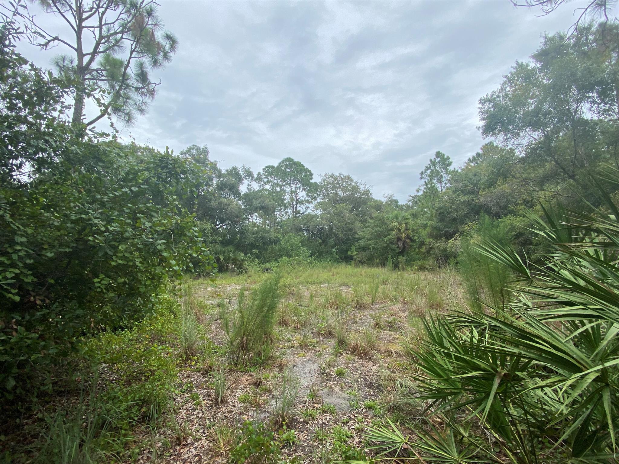 MONTURA RANCH ESTATES - Land