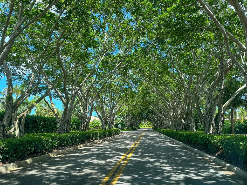 IRONHORSE - Residential