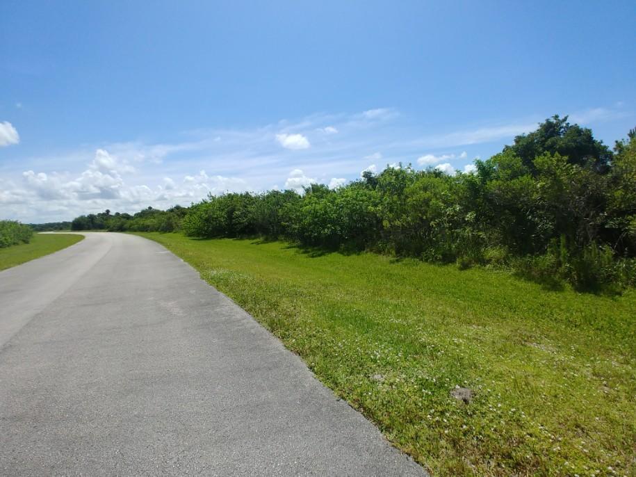 BRIDLEWOOD RANCHES - Land