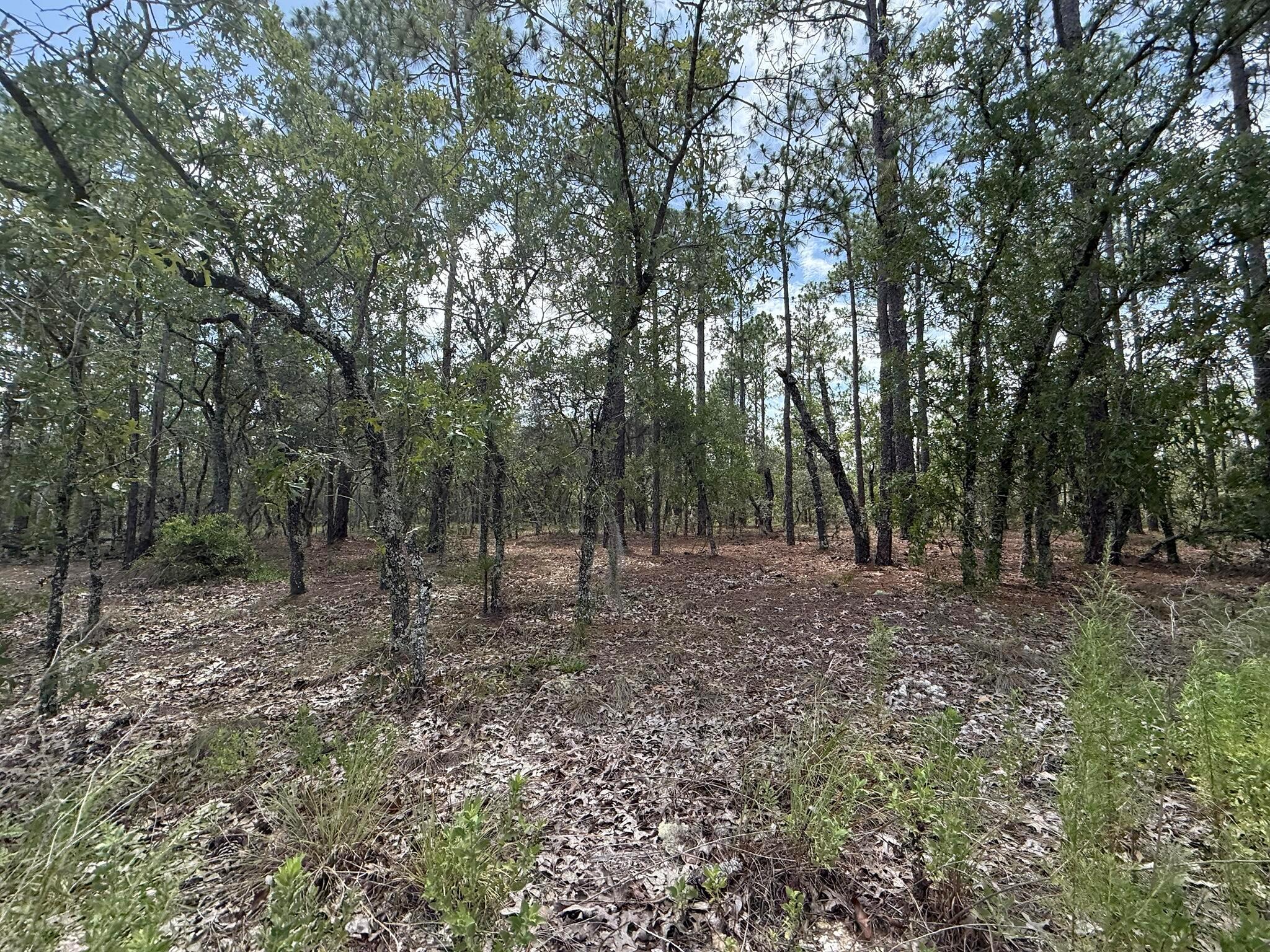 Tbd NW Tree Top Road