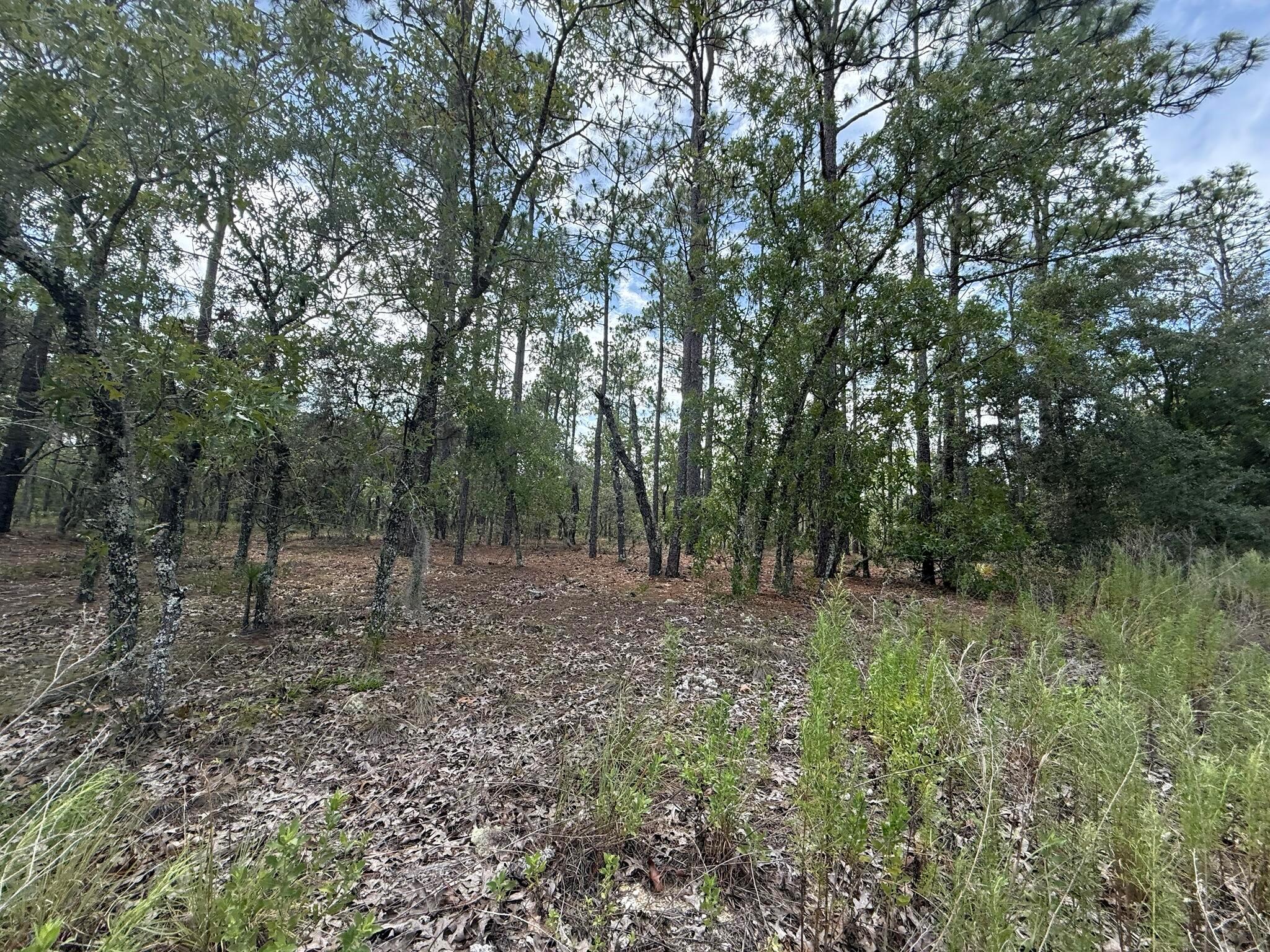 Very nice, wooded lot to build your dream home on this 1-acre lot. In the beautiful community of Rainbow Acres, in an area of new homes. Private but still convenient to downtown Dunnellon, where you will find restaurants, shopping and antique shops, Ocala, Gainesville, Crystal River, Gulf of Mexico. Rainbow Springs State Park is just a short drive away where you can enjoy nature walks among the mature azaleas, bird watching, kayaking and swimming at the head of this pristine first magnitude spring. Whether you're looking to build your dream home or purchase as a future investment this property checks all the boxes. For directional purposes 1262 NW tree top rd