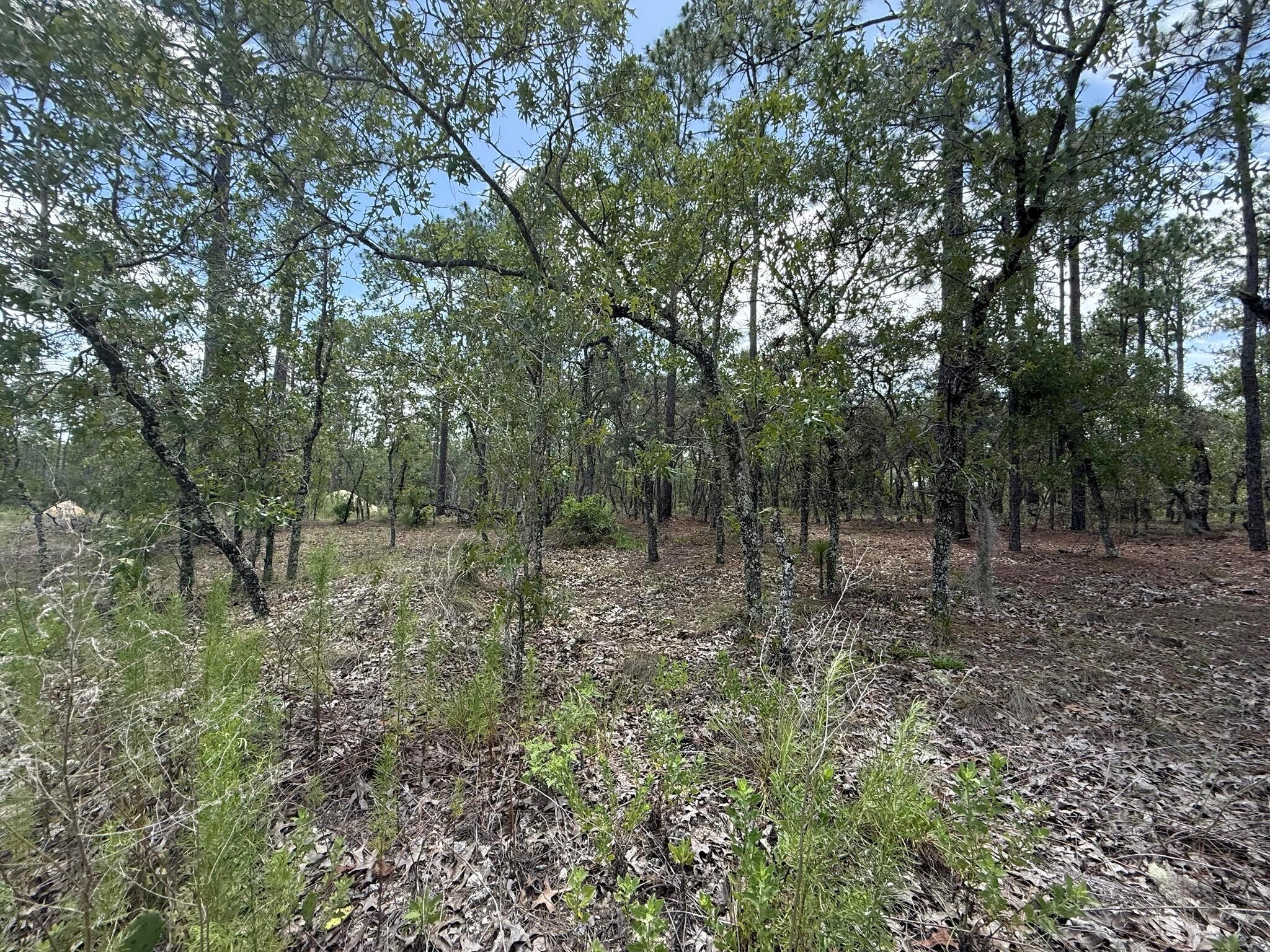 Tbd NW Tree Top Road