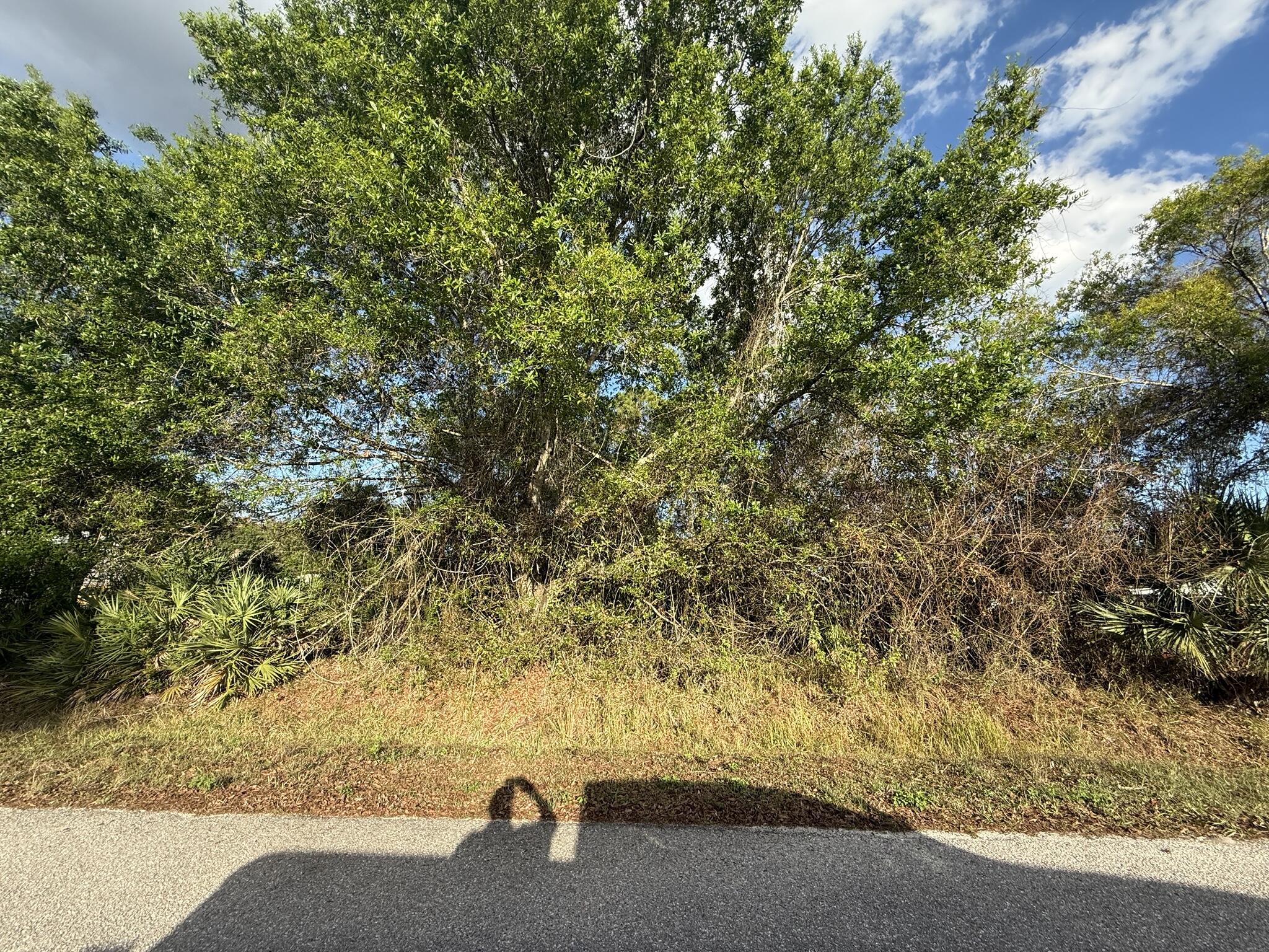 BASSWOOD UN 02 - Land