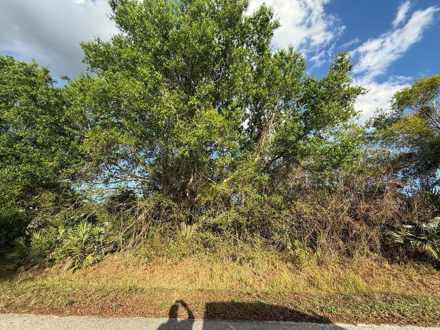 Build your dream home on this 0.36-acre vacant lot located at 3382 NW 31st Ave in desirable Okeechobee! Situated in the established Basswood area, this spacious homesite offers approximately 125 ft x 125 ft of space, providing plenty of room for a custom single-family residence. Similar nearby lots feature paved road access and residential use, making this an excellent opportunity for builders, investors, or future homeowners. Conveniently located near schools, shopping, medical facilities, and just a short drive to Lake Okeechobee.