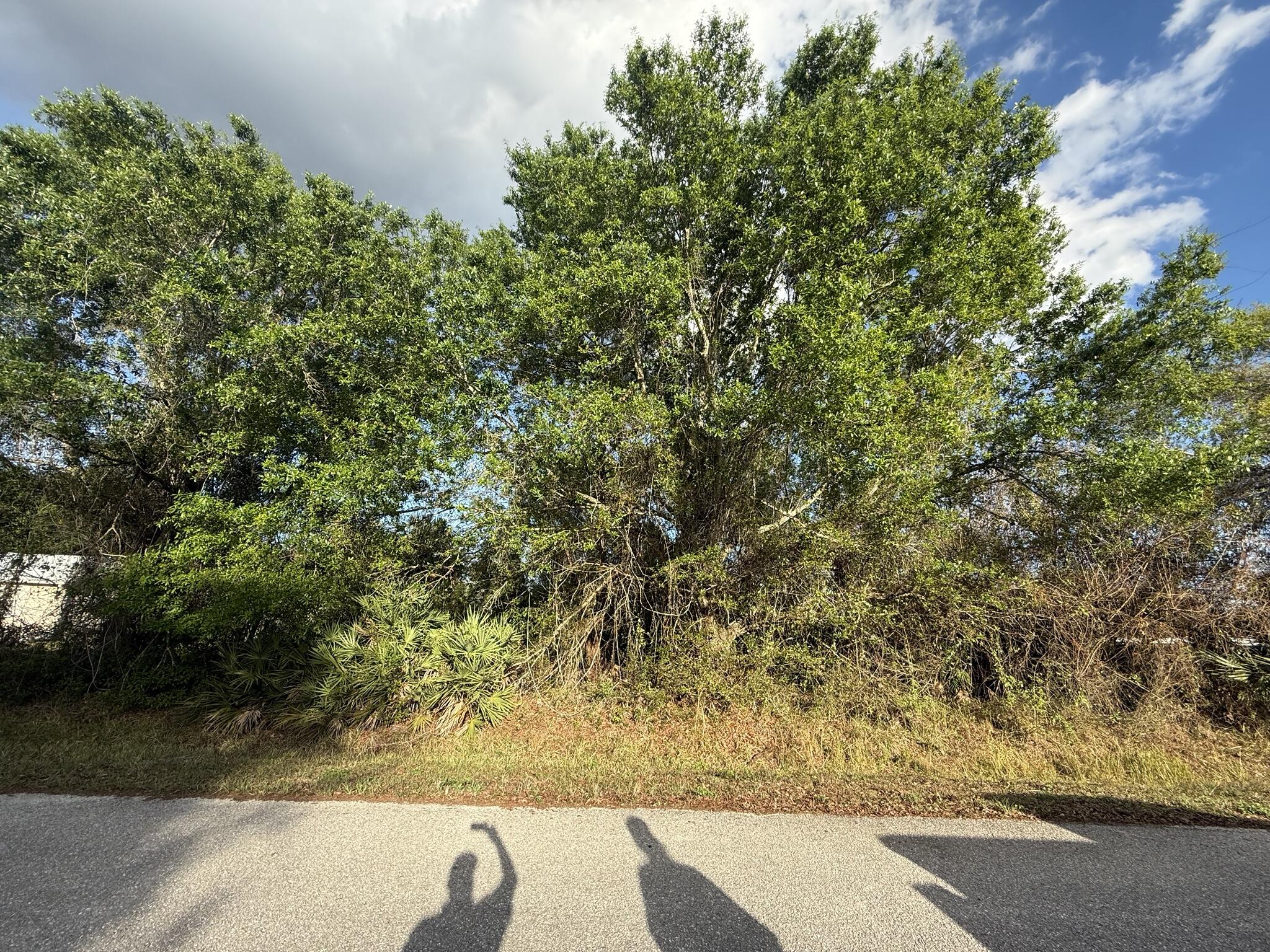 BASSWOOD UN 02 - Land