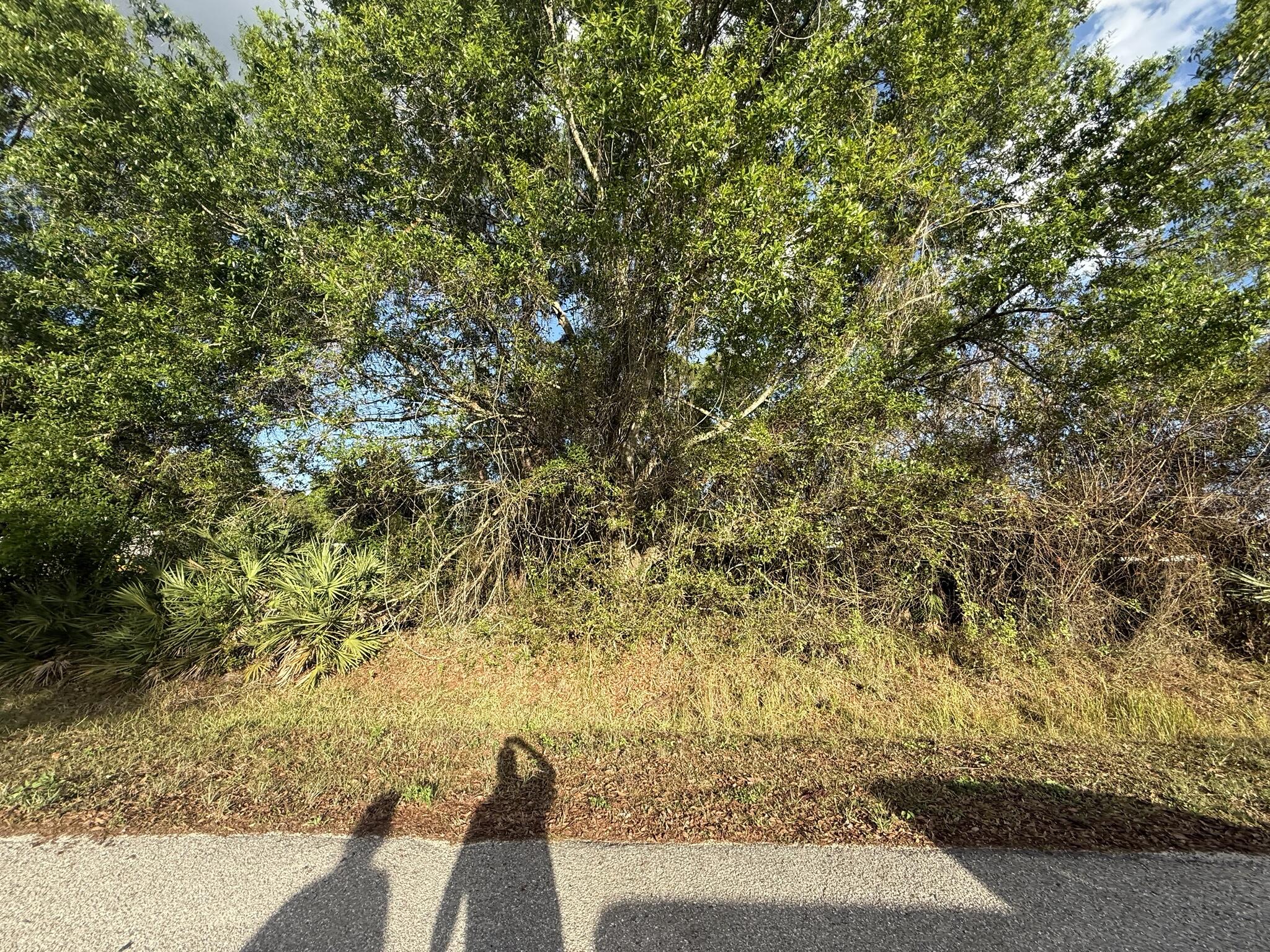 BASSWOOD UN 02 - Land