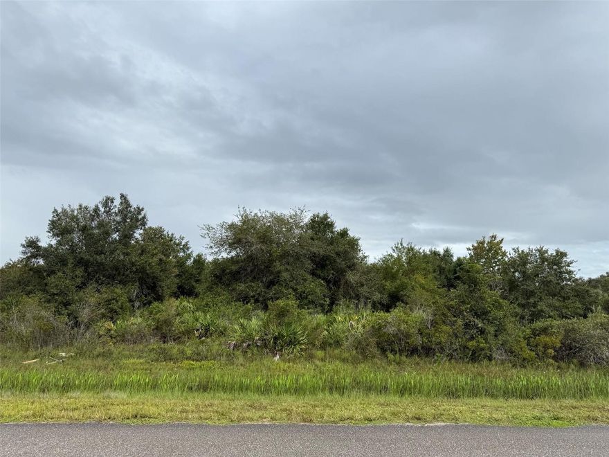 Location, location, location--this 1.5-acre corner lot sits right on the paved road in a peaceful rural setting, offering easy access, high visibility, and seller-covered closing costs to make your purchase even smoother. High and dry, this raw land is a blank canvas ready for your vision--whether you're planning to build a home, place a mobile or modular unit, or invest in Florida acreage. Zoned residential/agricultural with no HOA and no deed restrictions, you'll enjoy the freedom to create the lifestyle you want--whether that includes outdoor living, recreation, gardening, or a small farm. Electricity is available nearby; well and septic will be needed for utilities. Conveniently located just a short drive from the town of Okeechobee, shopping, schools, and Lake Okeechobee--