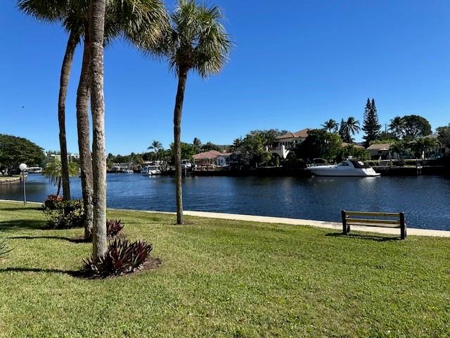 20 Royal Palm 202