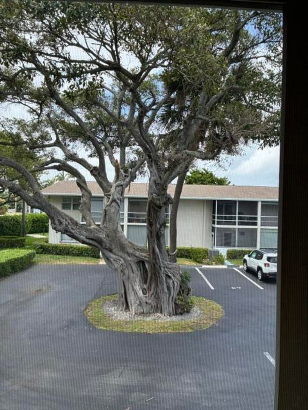 Photo of 620 Horizon W #202, Boynton Beach, FL 33435 (MLS # B26034177)
