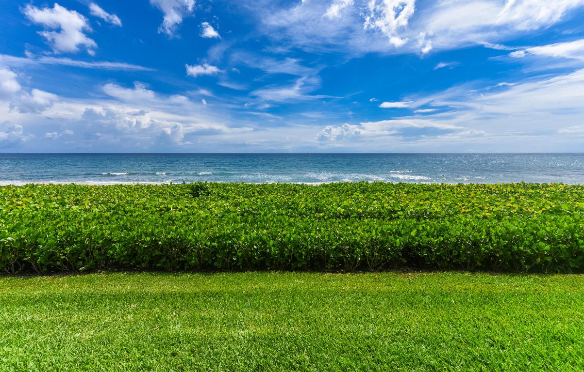 OCEAN TERRACE NORTH - Residential