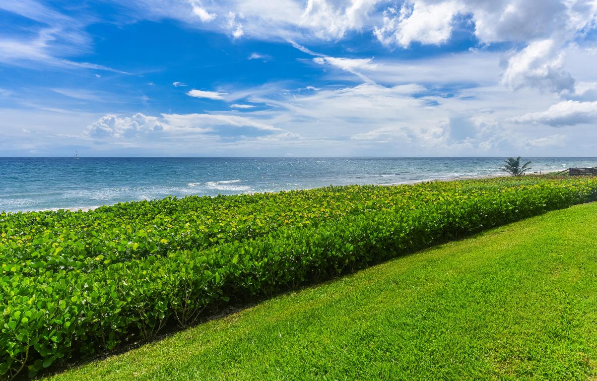 OCEAN TERRACE NORTH - Residential