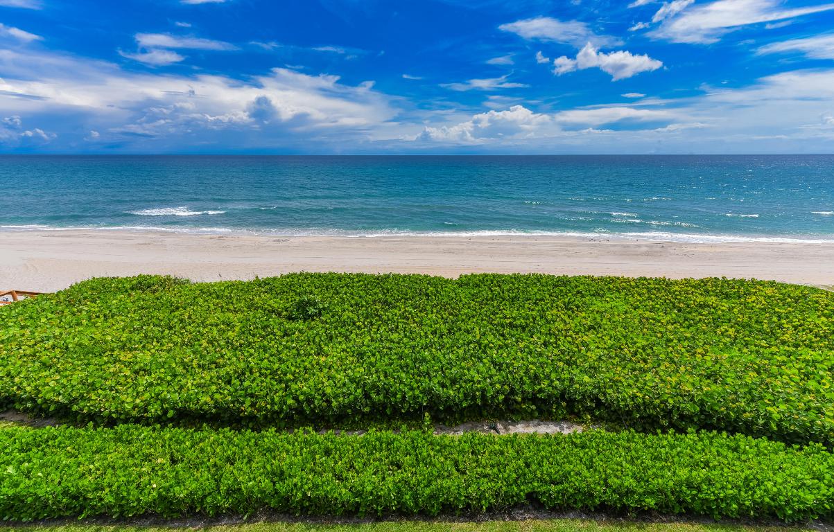 OCEAN TERRACE NORTH - Residential