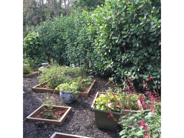 FOREST GLADE PLAT 1 - Residential