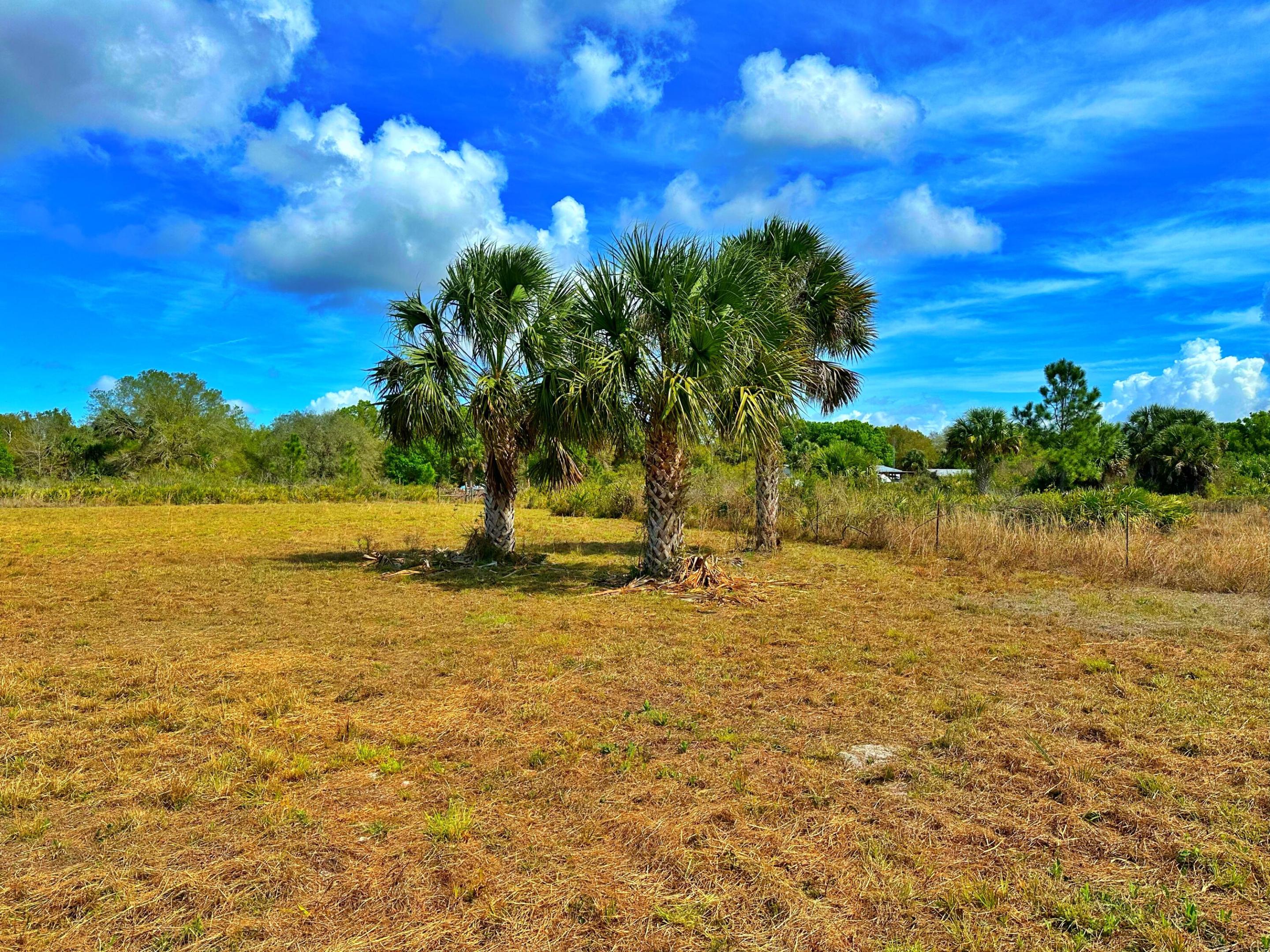 Viking Estates - Land