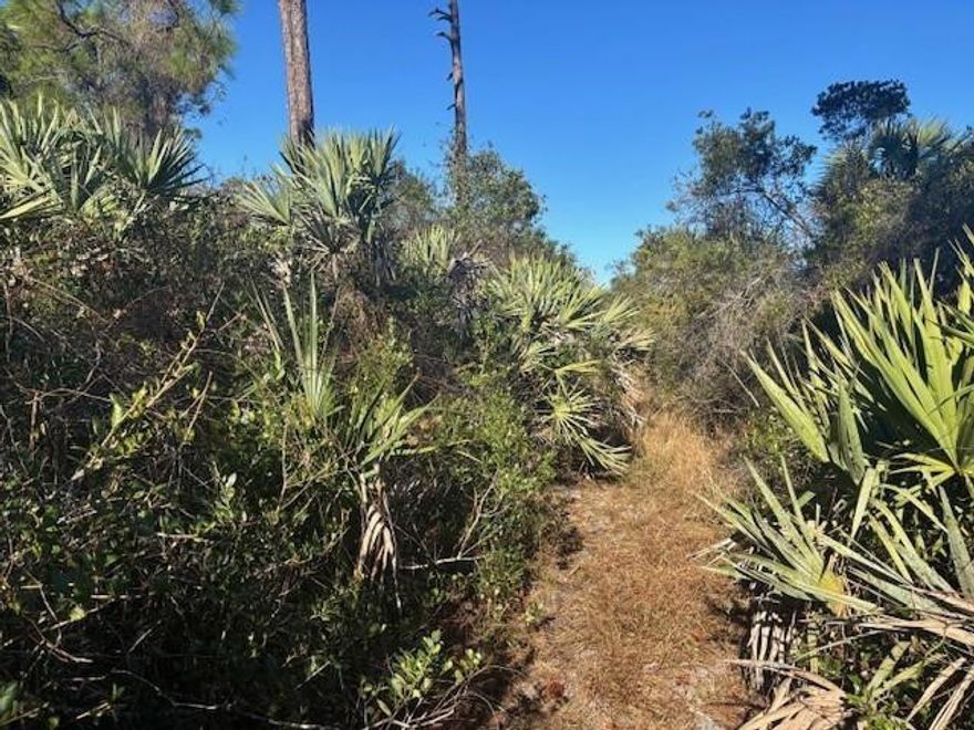 Agricultural/Recreational lot right off 95. In the path of development. Use for recreational use until the area gets developed.Owner financing available
