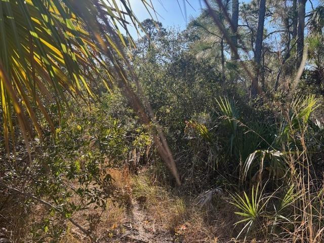 Paradise Park Unit 3 - Land