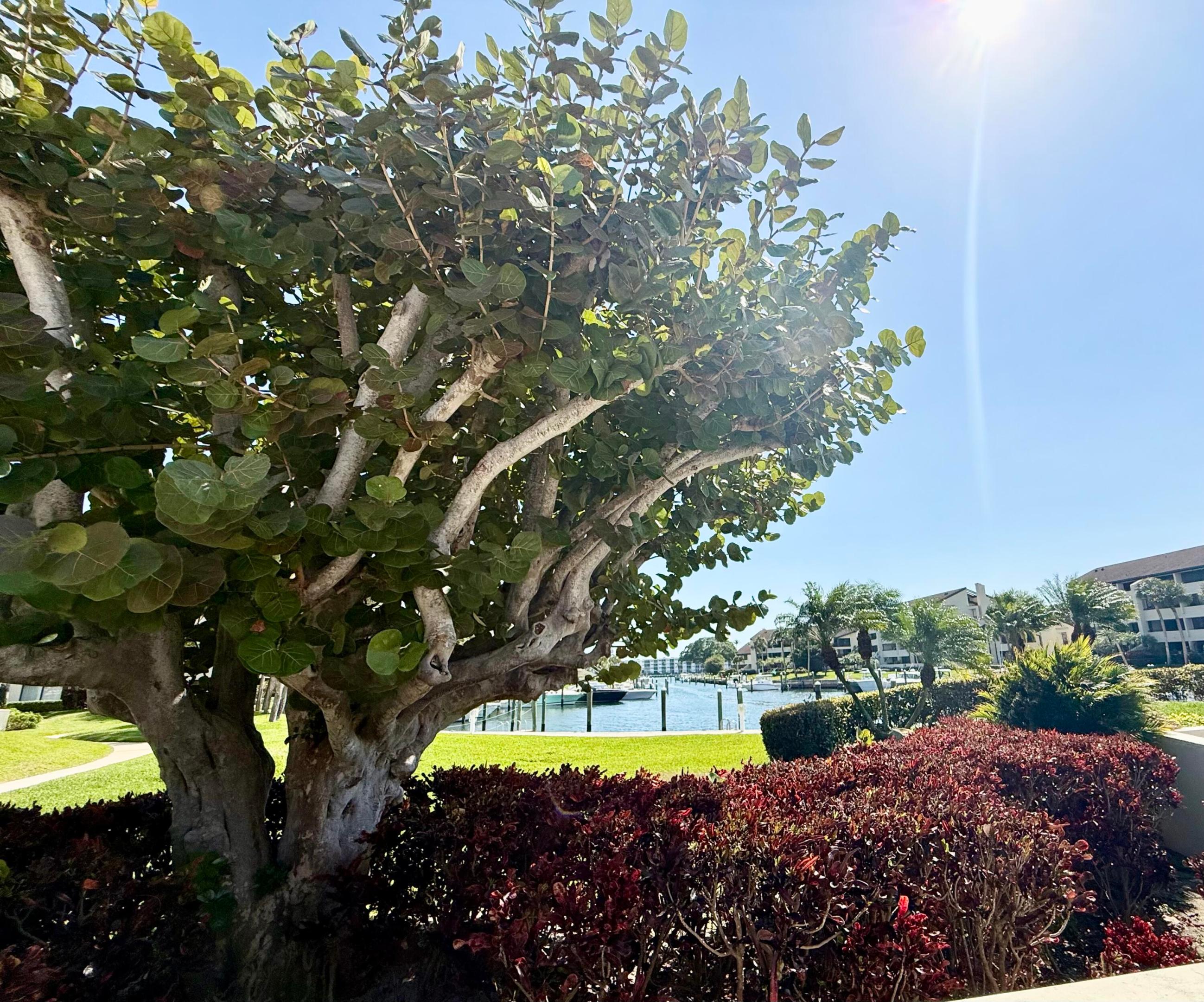 Old Port Cove - Residential