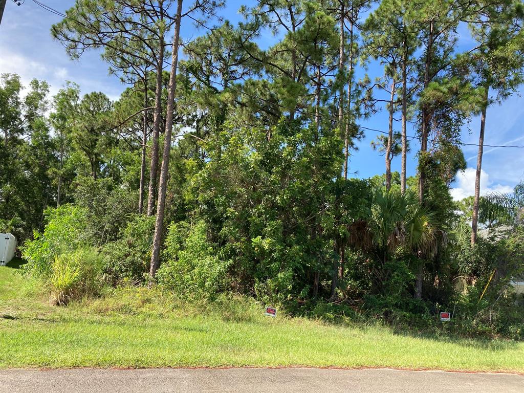 PORT ST LUCIE SECTION 31 - Land