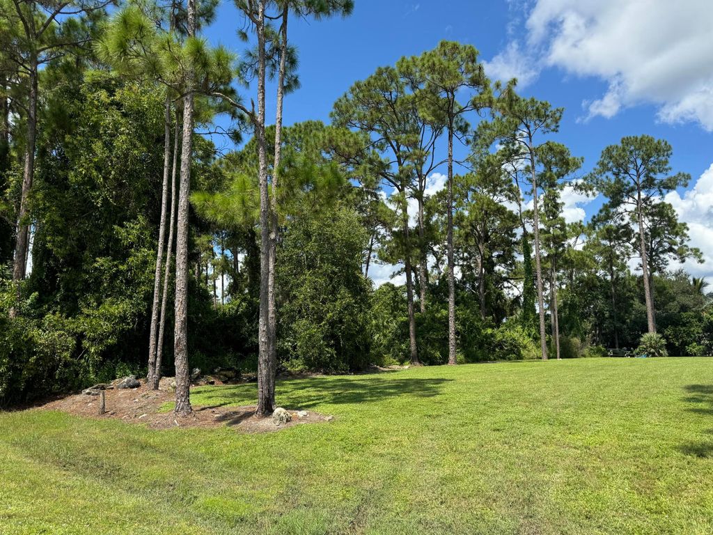 Photo of Xxx 80th Street N, The Acreage, FL 33470 (MLS # R11020572)