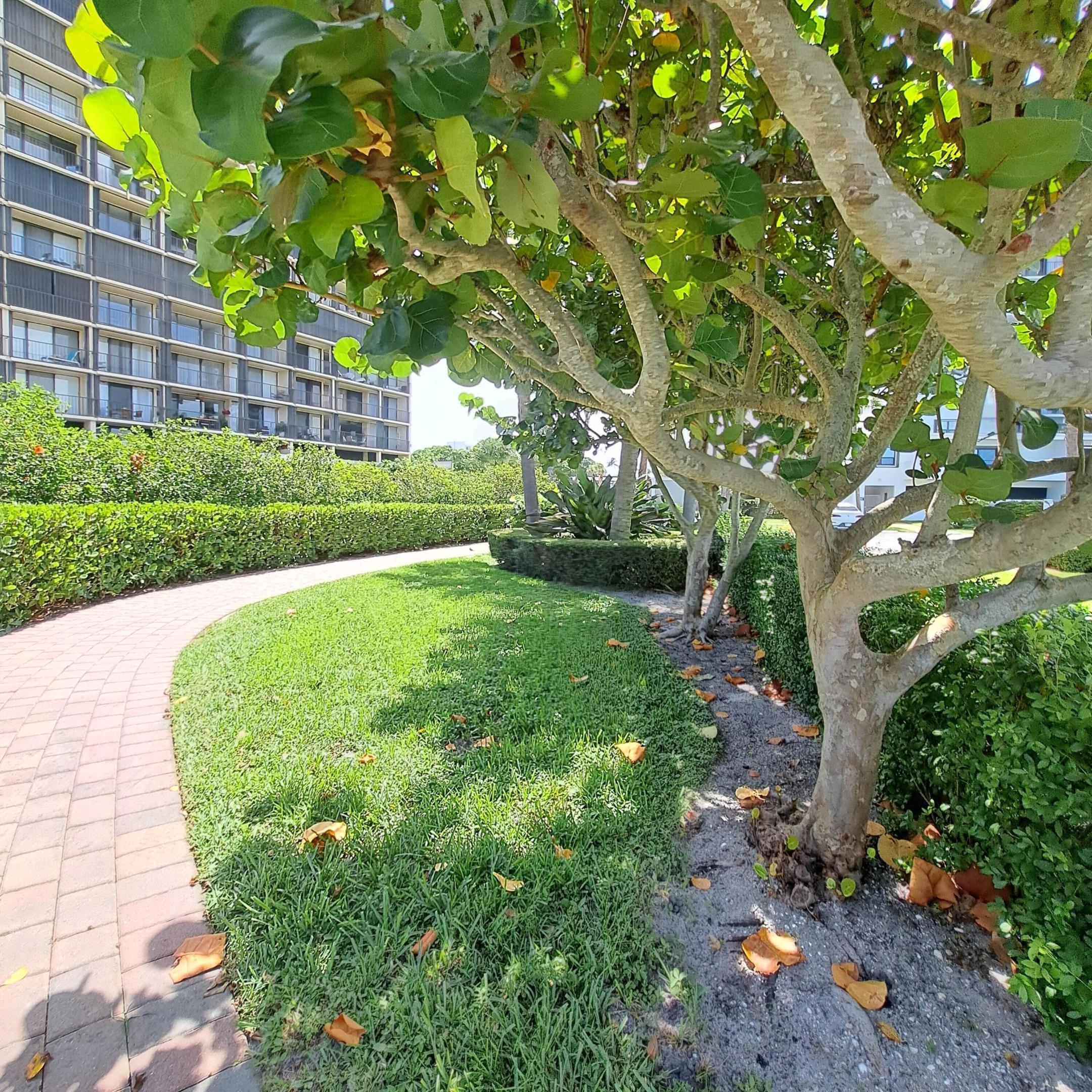 OLD PORT COVE CONDO ONE - Residential