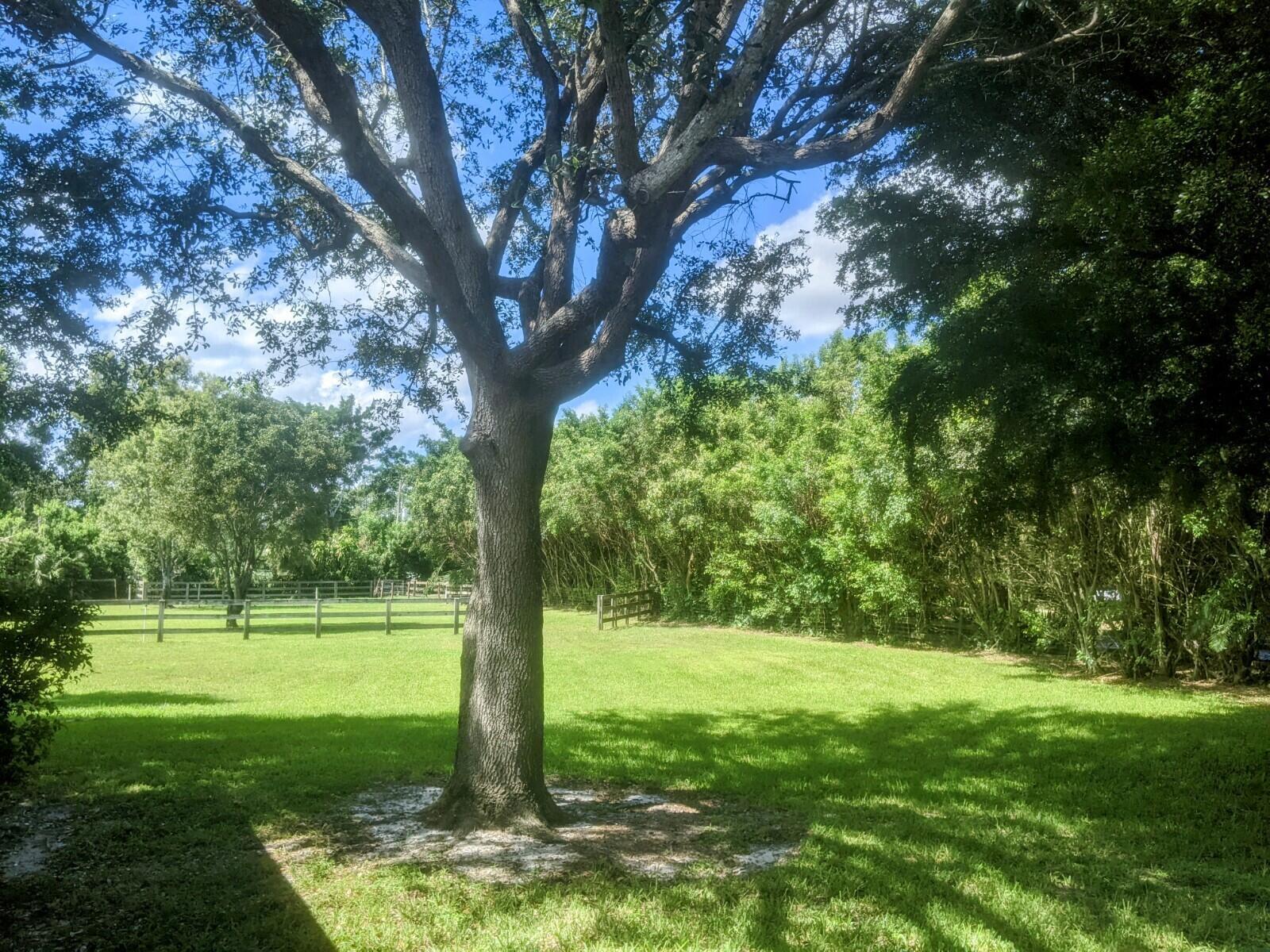 PALM BEACH LITTLE RANCHES - Residential Lease