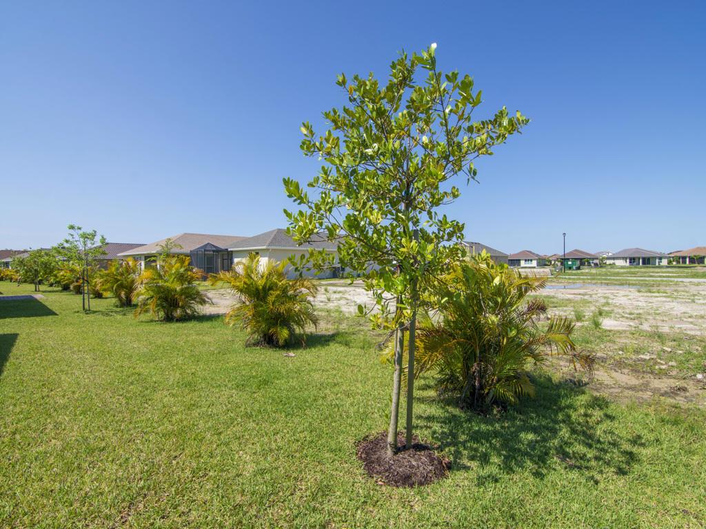 TRADITION PLAT NO. 77 - Residential