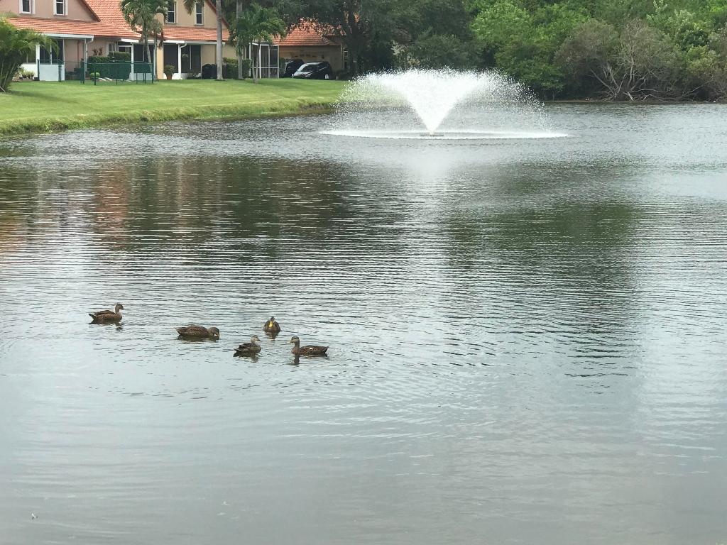 WOODBINE PAR B - Residential