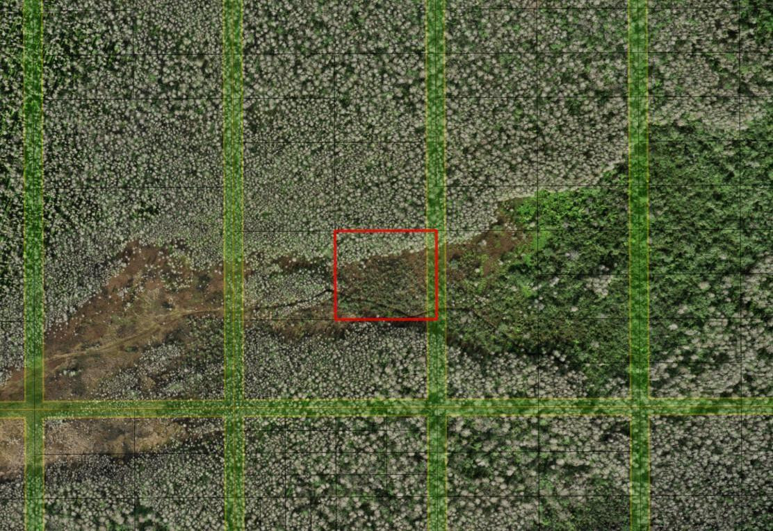 HP130 HOLOPAW - Land