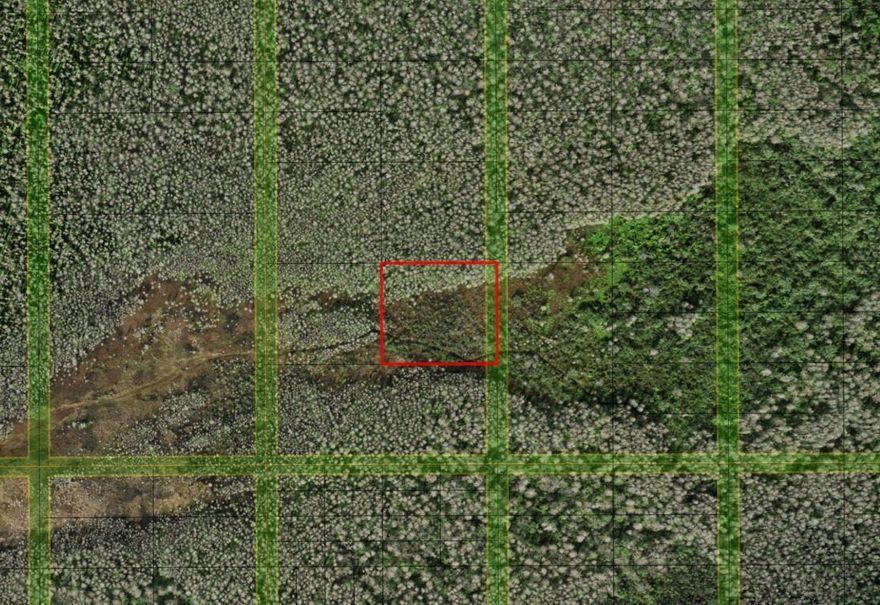 Recreational, hunting and camping property in Holopaw.Owner financing available