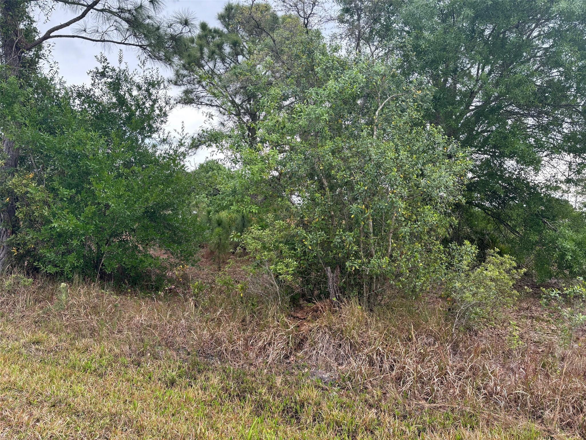 Oversized building lot in Orange Blossom Ranches. Buy today with owner financing and build when you're ready. Cal