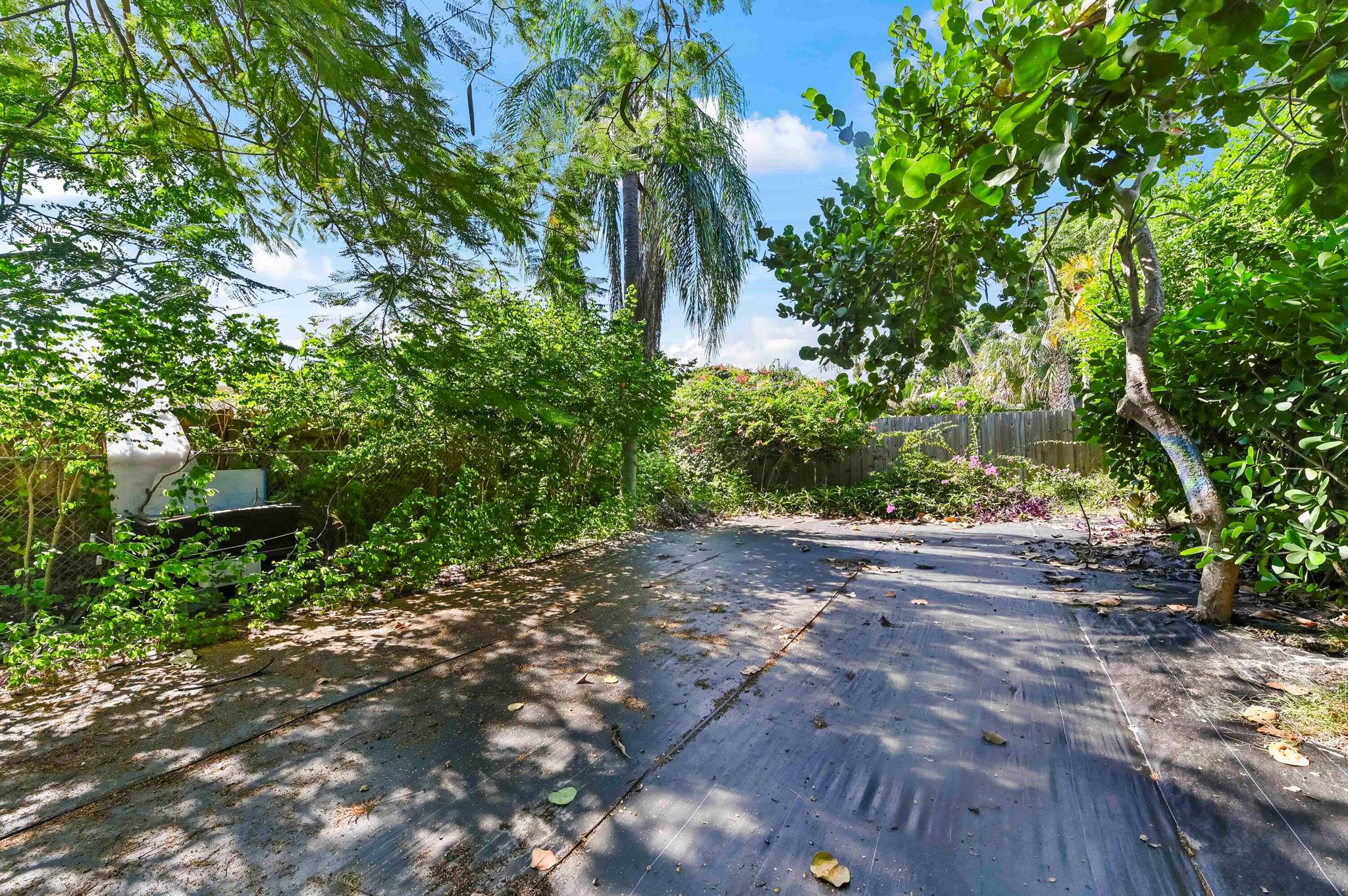 COLLEGE PARK - Residential