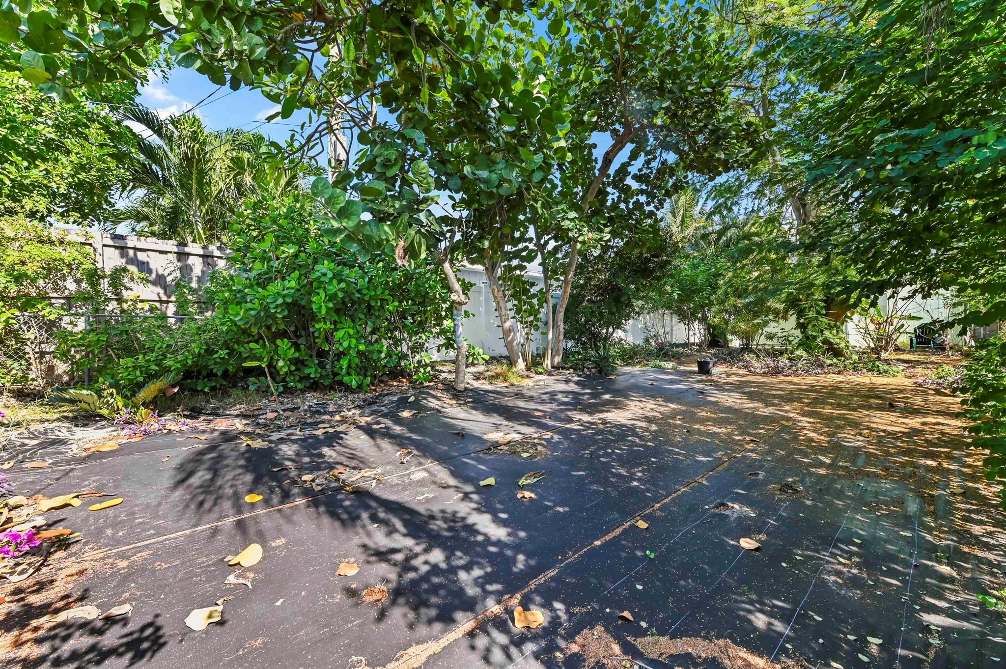 COLLEGE PARK - Residential