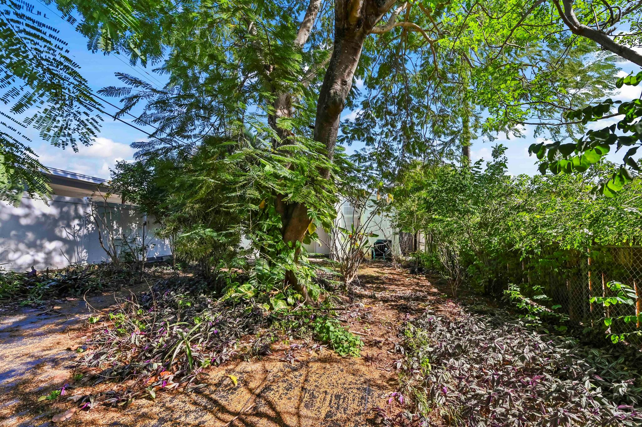 COLLEGE PARK - Residential