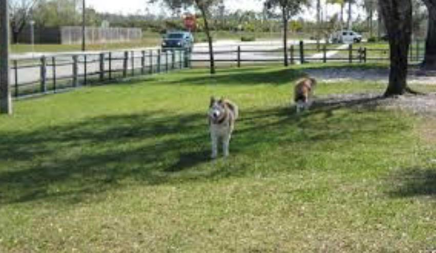 LA MANCHA 2 - Residential