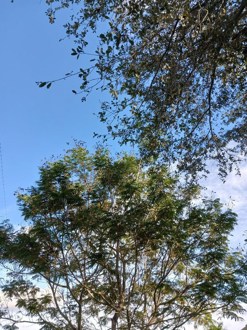 RAINBOW LAKES - Land