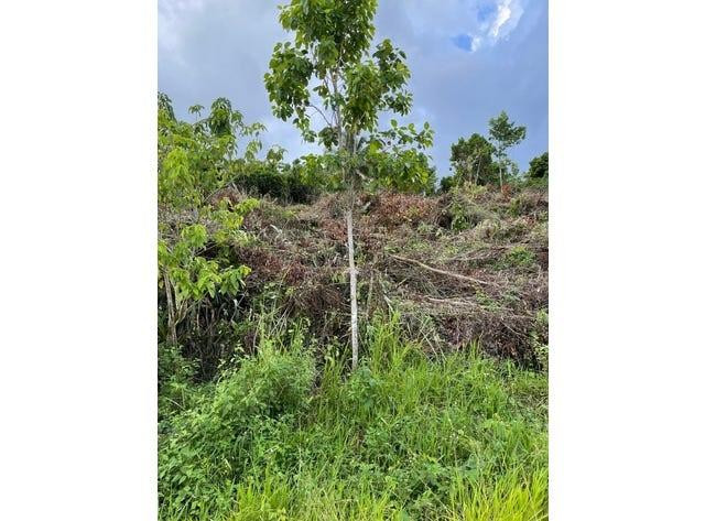 RAINBOW LAKES - Land