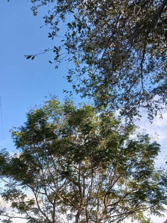 RAINBOW LAKES - Land