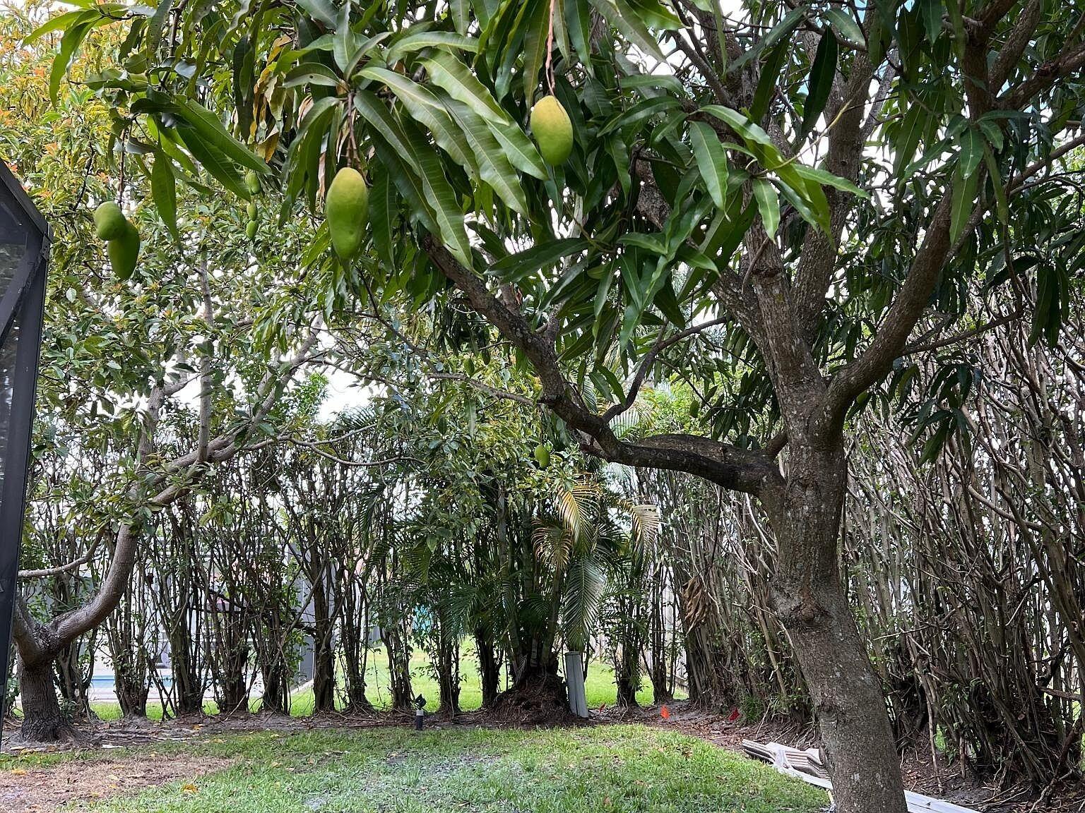 BOCA RATON SQUARE TERRACE - Residential Lease